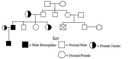 Hemophilia Inheritance Chart